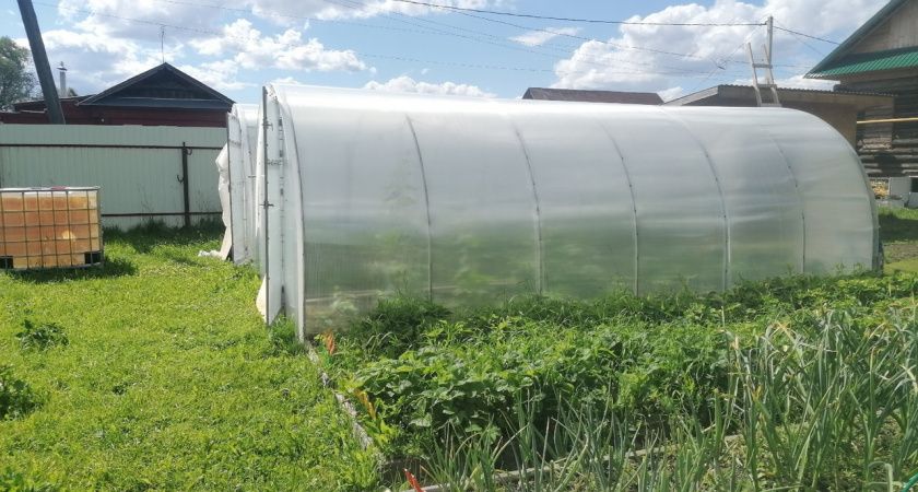 Проверьте срочно: кому грозят штрафы до 10 тысяч рублей за теплицы в 2025 году