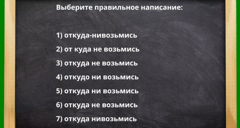 Кто ошибся — прогуливал русский в школе: какой вариант написания — единственно верный?