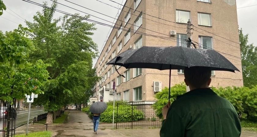 Каким будет лето 2025 после аномально теплой зимы: эксперты рассказали, к чему должны быть готовы садоводы