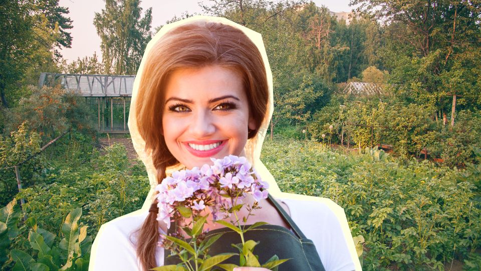 Вредители к вам и носа не сунут: вот какое съедобное растение защитит огород