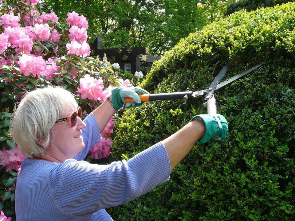 Аминокислоты: секрет здоровых и сильных растений