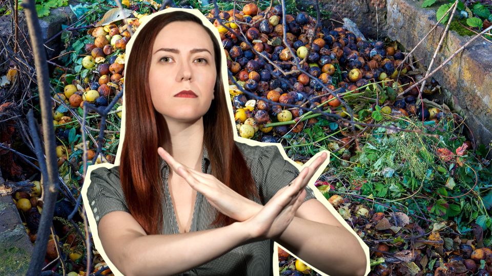 Опытные садоводы не кладут этот компонент в компост: иначе погибнет весь урожай