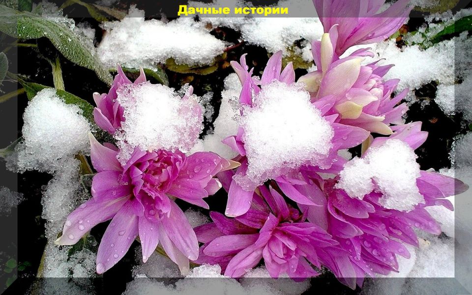 Преобразование целинного участка