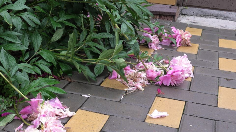 ������� ������� �������������: ����� � ��� ������������� ����� �� ����