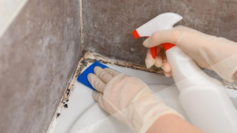 ��� ���������� ���������� �� ������� � ������: ���� ����������� �������