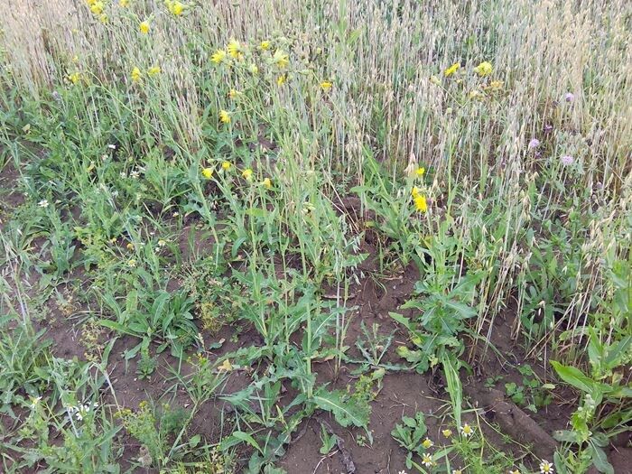 ���� �������: ����������� ������ � ������ ������� � ���������� �����������