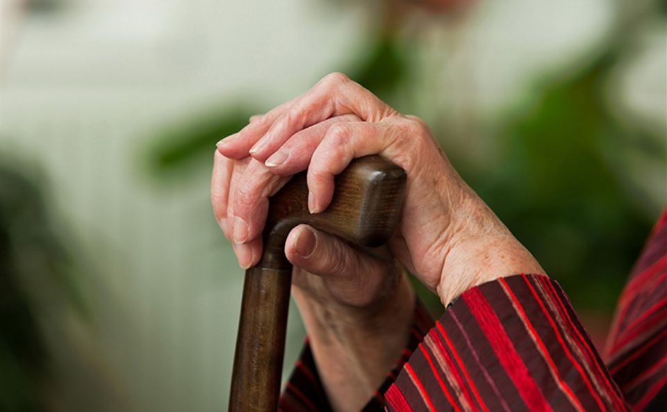 ��� ����������� �������� �������������� �������� �� ��������� ����