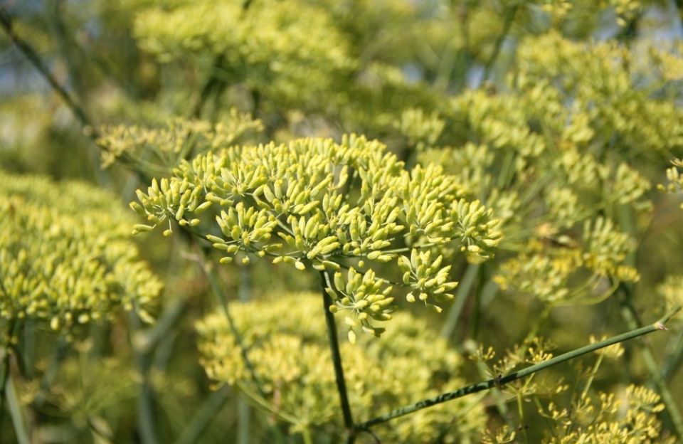 ���� � �������: ������� ���������� �������� ��� �������� � ���������