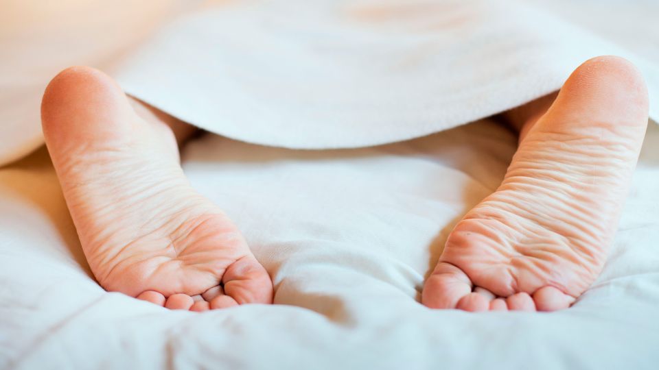 ��� �������� � ������� ������ ������ �����: ����� ��, �������� �������