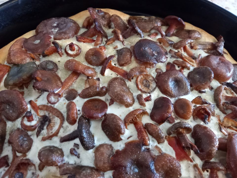 Секреты вкусных пирогов: как не пожалеть начинку и получить восхитительный результат