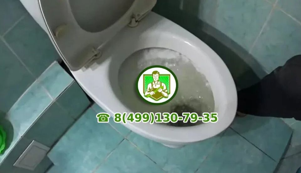 ������ � �������: ��� ������ �������� ��� �������