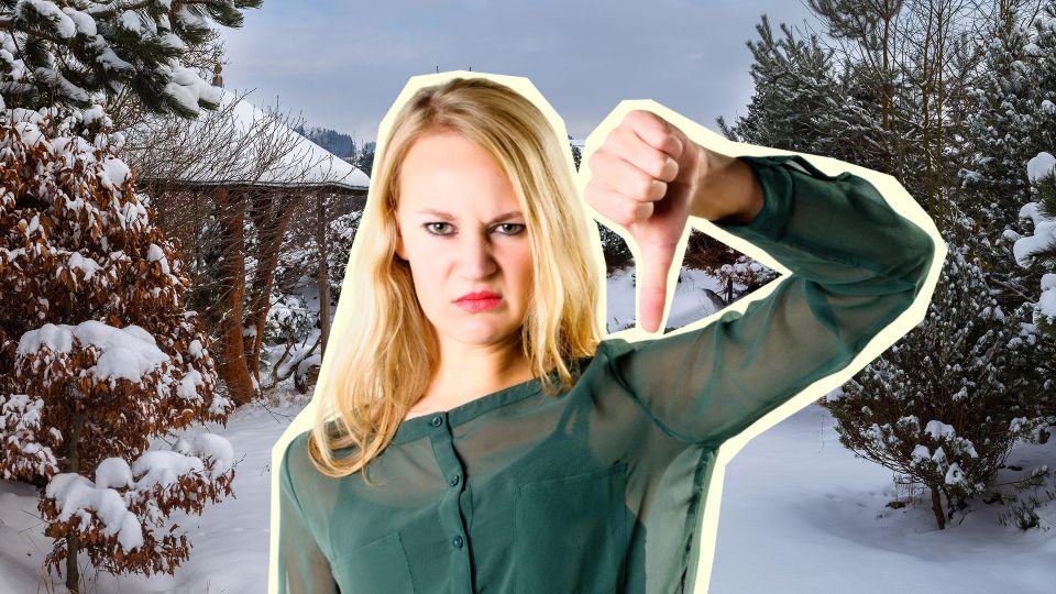 ������ ����� �� �����: ���� ������� ����� ������ ���������� ������