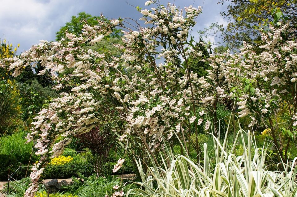 �������������� ������� �����: ������ � ������� ��� ��������