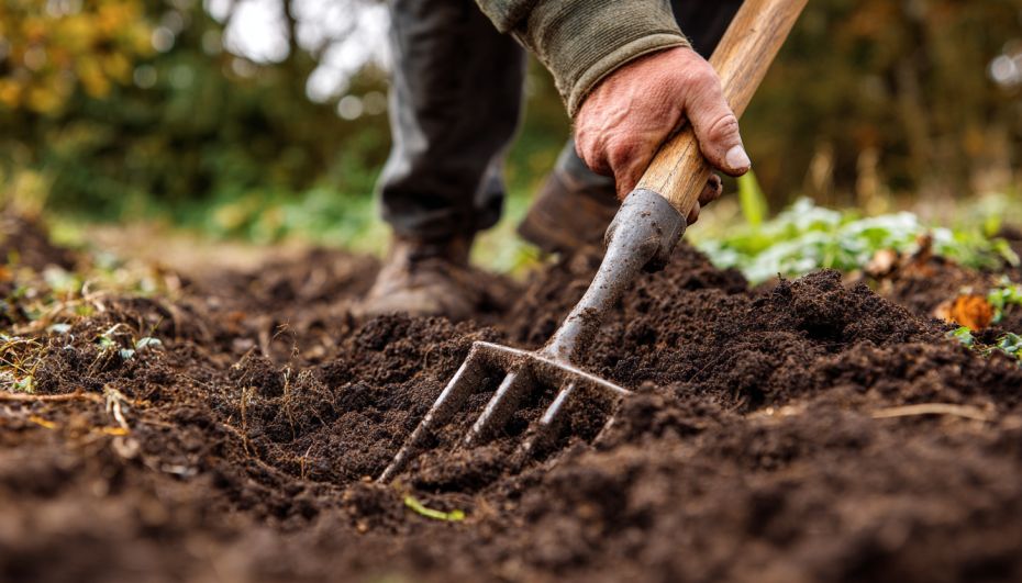 �������� � �������: ��� ����� �������, ����� ������ �� �������