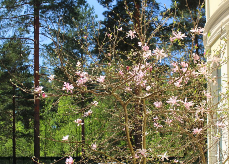 ��� ������ � ����� ���� 22 ���