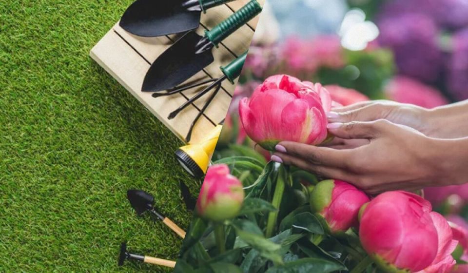 ������� �������� ������� ������: ������ �������� ������ ����� ���������� ��������