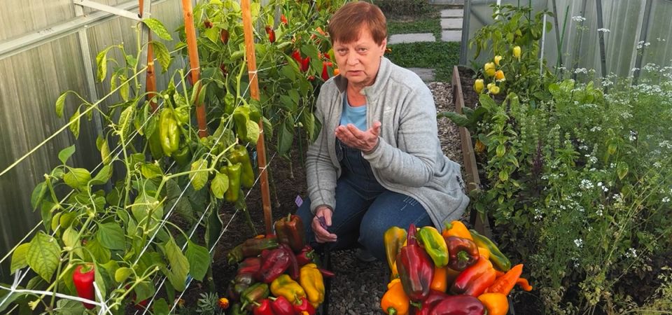 ��� ��������� ����� �� ������� �� ������ �� ������� �������