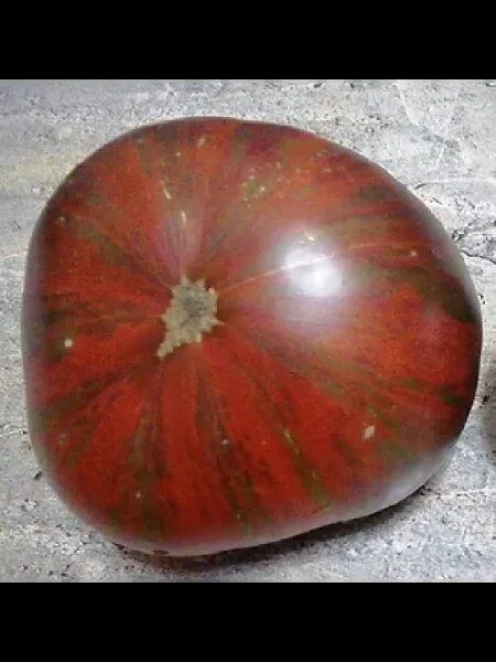 ����� ������� �������: ��������� ������� ��� � ������� ������ � �����������