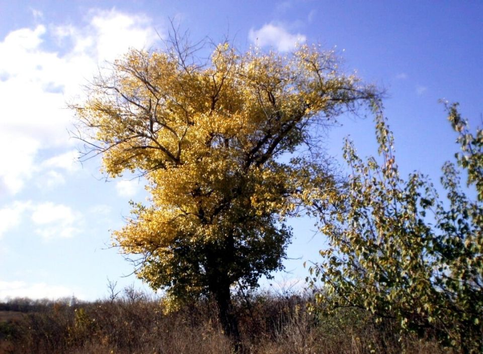 ������������� ����� ������: ��������� ���������� ��� ���� � ������