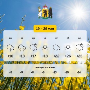             +13C