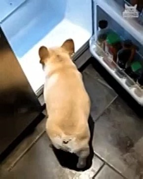   ?    ,     
