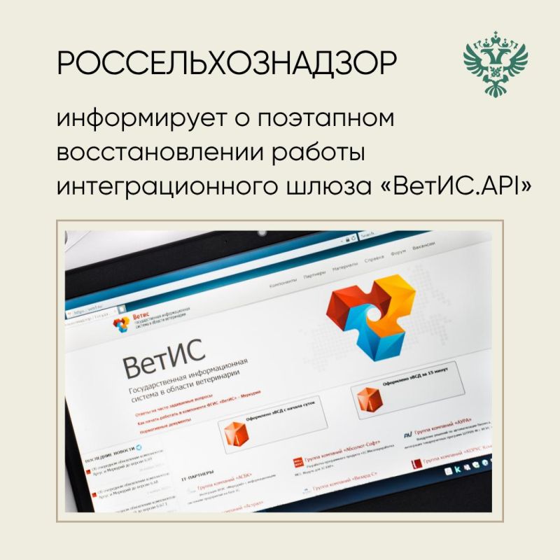 123        .API       
