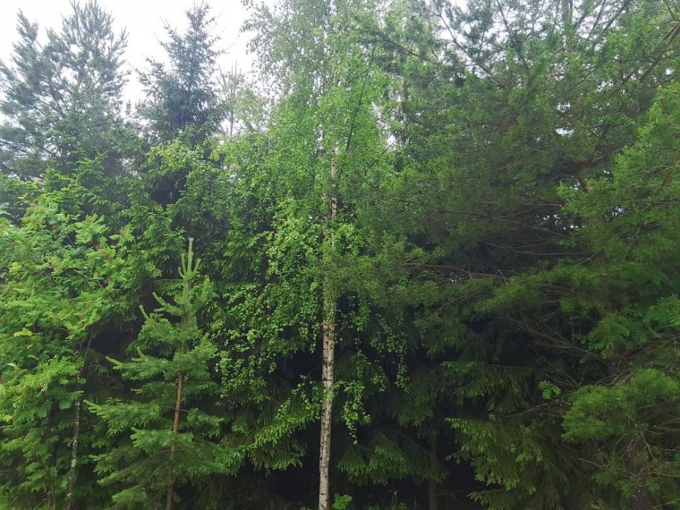         1800    