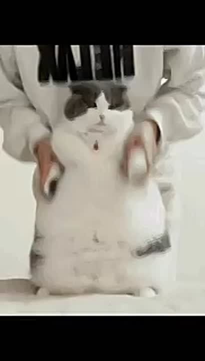  !.  2 , 