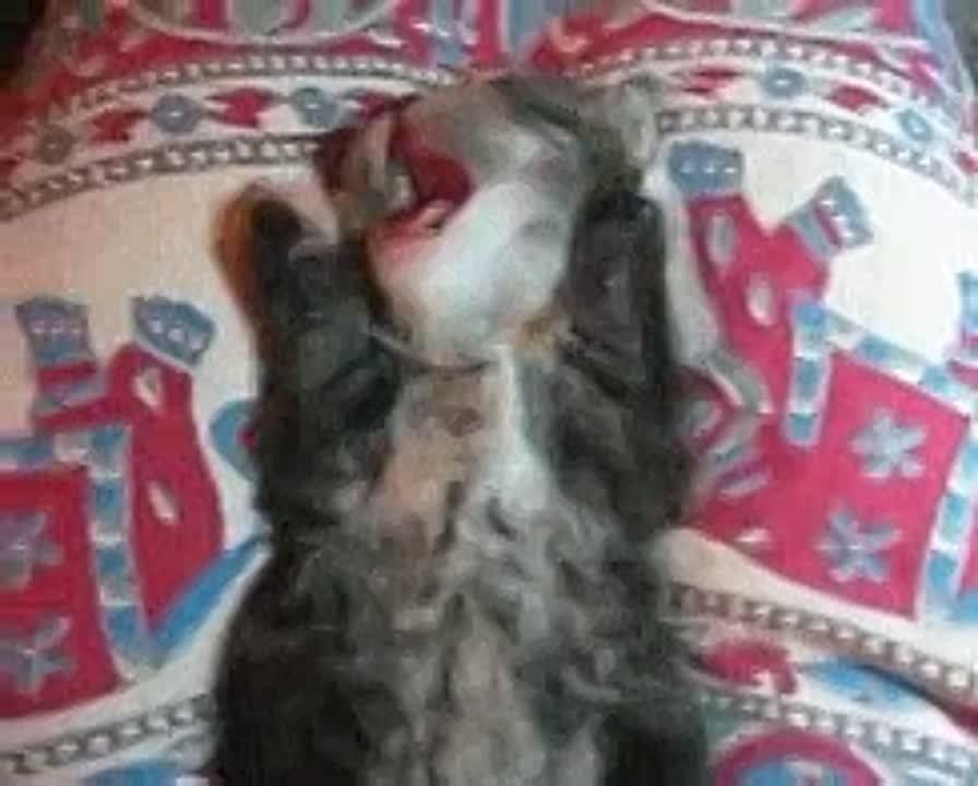  !.  3 ,  ,     !     !      ,         