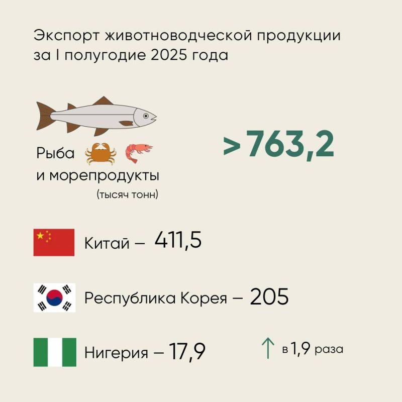      ѻ  -,   I  2025                ...