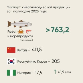      ѻ  -,   I  2025                ...