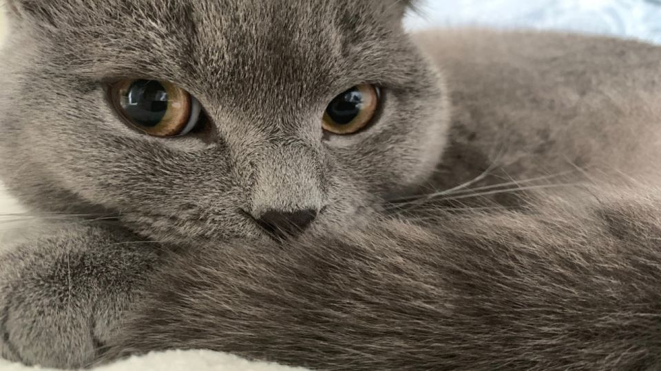    !