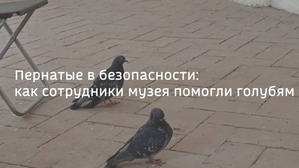   .   -   ,   -  