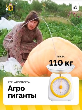     :     -  110 !