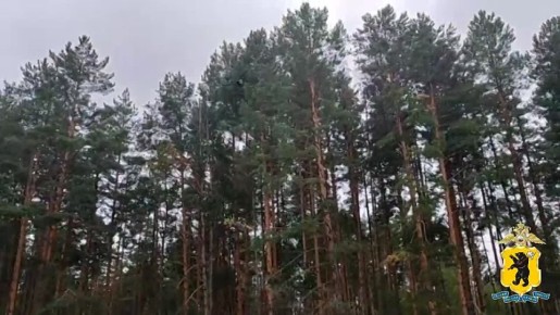 Полицейские приняли участие в профильной смене детского палаточного лагеря «Патриот. Гражданин. Воин»