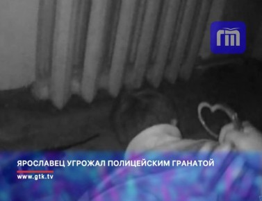 В полицию поступило сообщение о бытовой ссоре в одном из домов по ул. Курчатова. На место происшествия был направлен наряд отдельного батальона патрульно-постовой службы