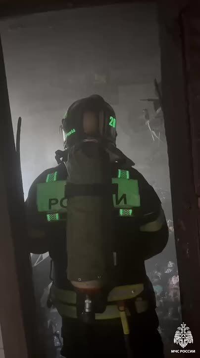   .   ,    - ,        