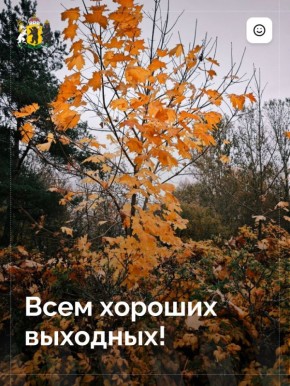     ,           !