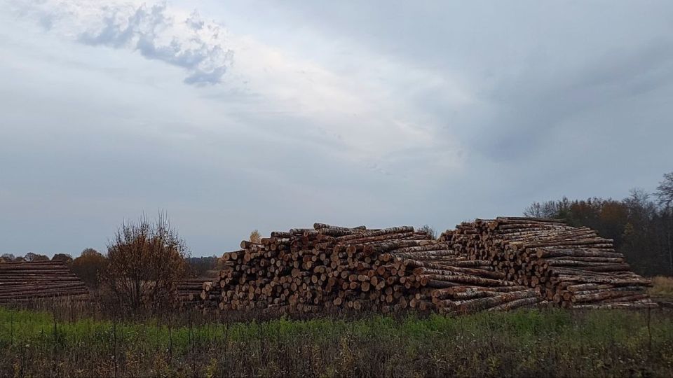 ™™™™™ По постановлению прокуратуры Пошехонского района арендатор лесного участка оштрафован на 60 тысяч рублей за нарушение требований пожарной безопасности