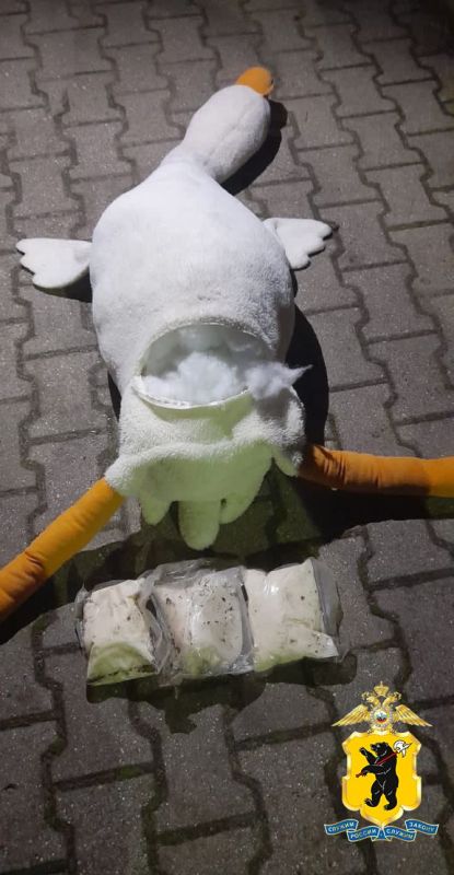 Ярославскими оперативниками изъято более килограмма синтетического наркотика, спрятанного в мягкой игрушке