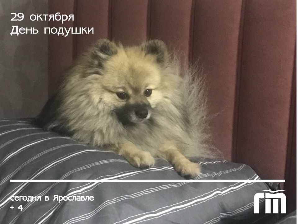  !. ,       ?      :       !             , ...