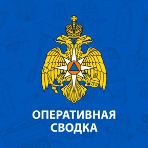 В Ярославской области за прошедшие сутки 29 октября: