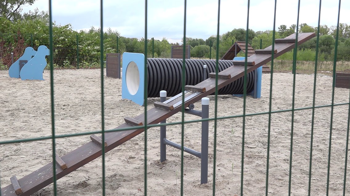 У парка 1000-летия Ярославля оборудуют площадку для выгула и дрессировки собак