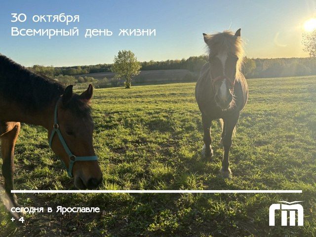  , !.        &quot;  &quot;