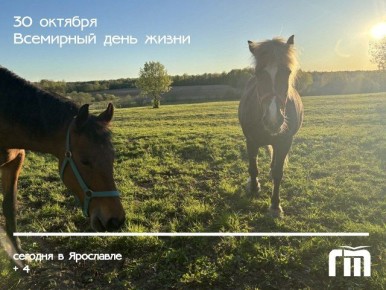 Доброе утро, друзья!. Сегодня календарь напоминает о самом главном — "Всемирный день жизни"