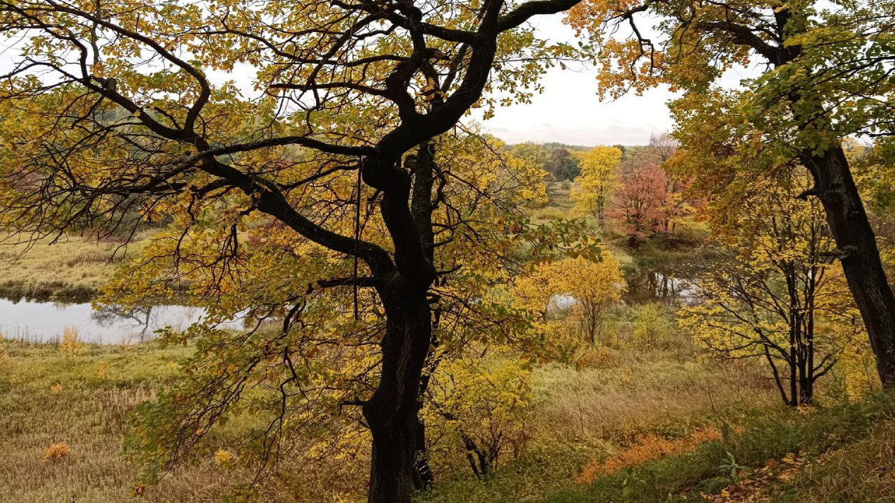 До зимы еще далеко: ноябрь порадует жителей Ярославской области аномально теплой погодой