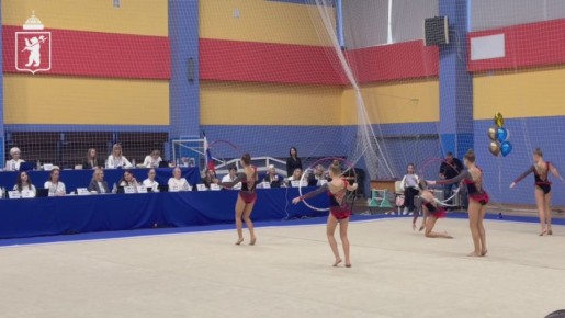 В Ярославле проходят всероссийские соревнования по художественной гимнастике