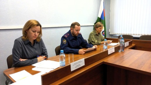 Руководителем регионального следственного управления СК России совместно с представителями органов власти Ярославской области проведен приём граждан