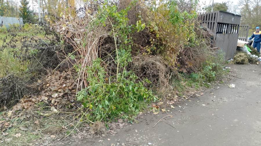 В Рыбинске вывозят непрофильный мусор с контейнерных площадок В Рыбинске вывозят непрофильный мусор с контейнерных площадок
