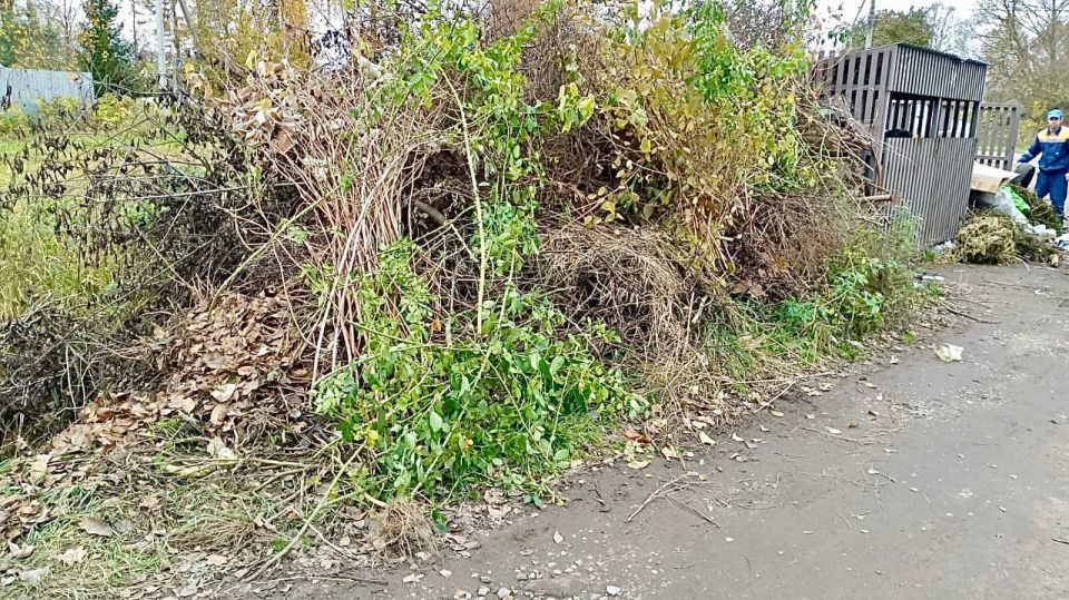 Дмитрий Рудаков: В рамках осенних субботников приведем в порядок территории у 108 контентных площадок